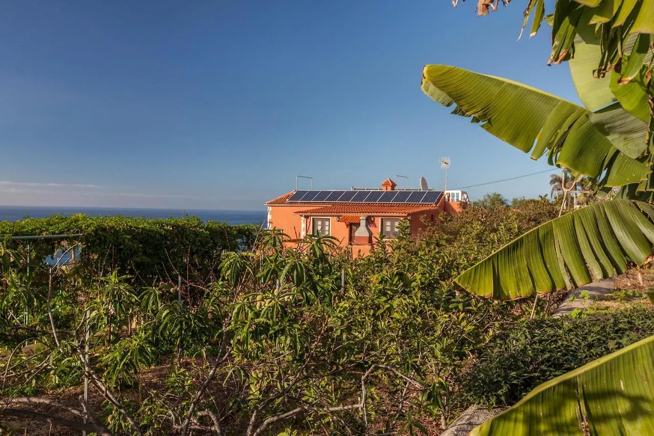 Casa Victor - Apartment Haydee La Orotava